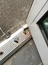 corroded door sill