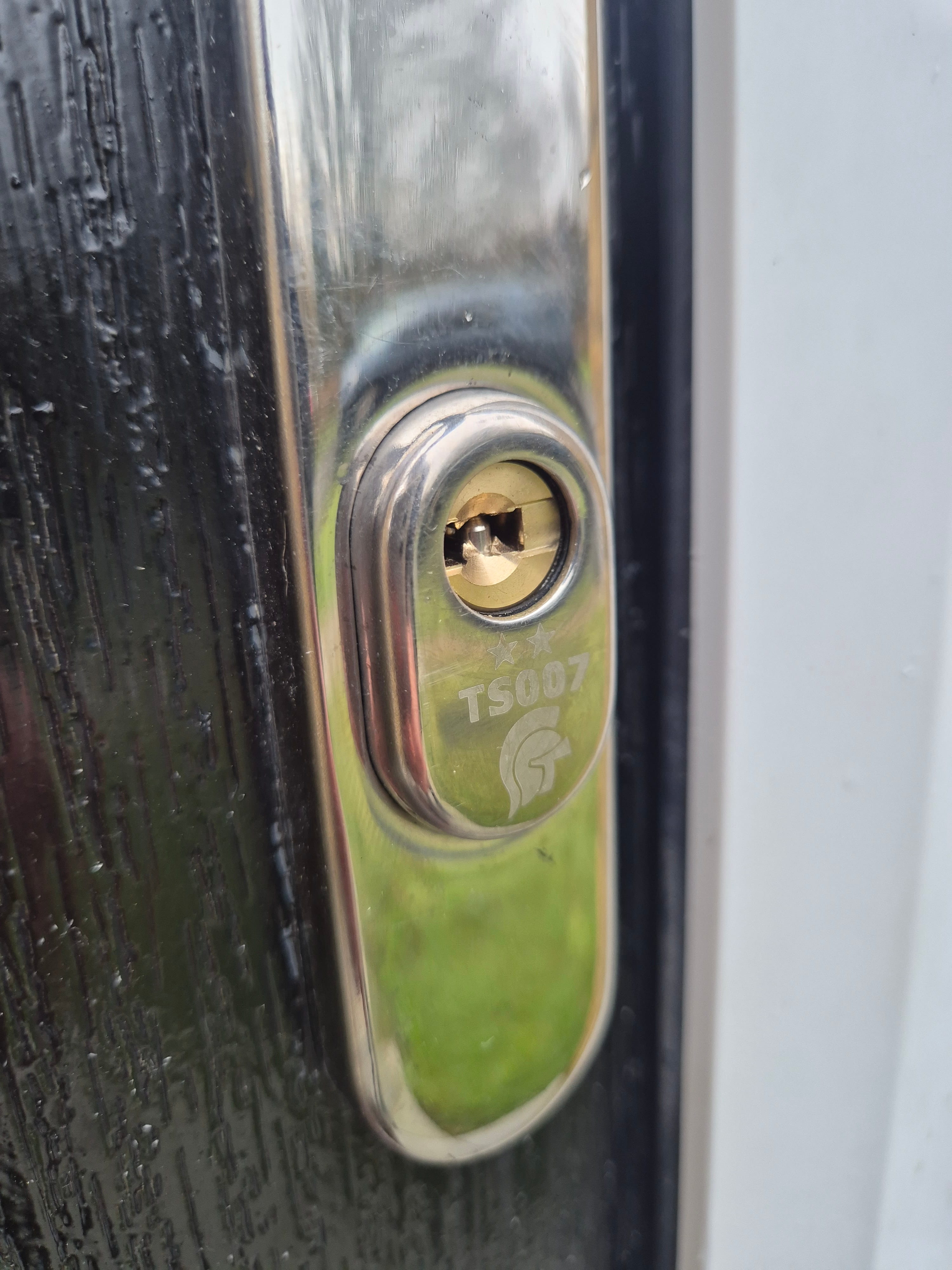 High security TS007 2 star handle with security shield